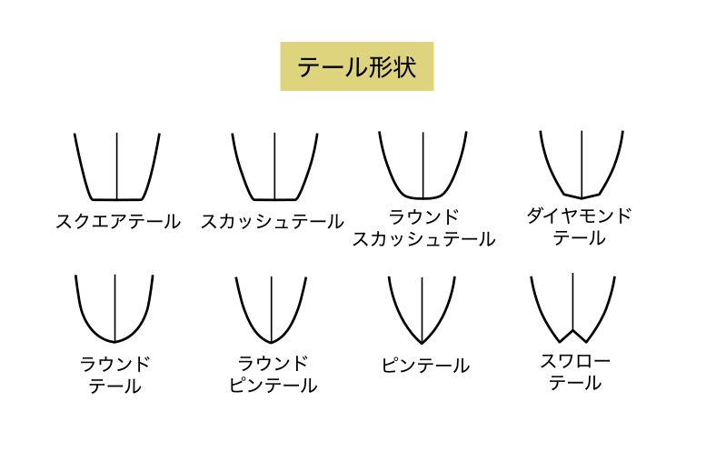 ロングボードのテール形状いろいろ